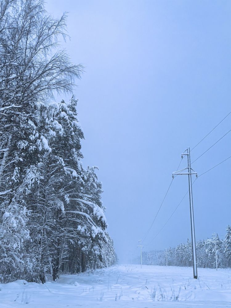 Photograph by Федоренко Мария