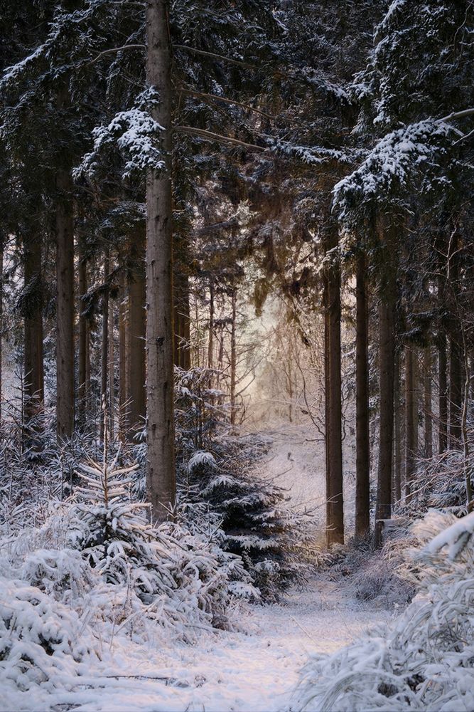 Фотография автора Olga Schmidt