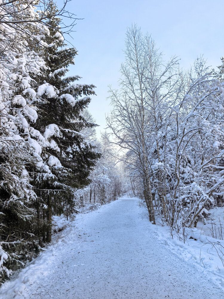 Photograph by Федоренко Мария