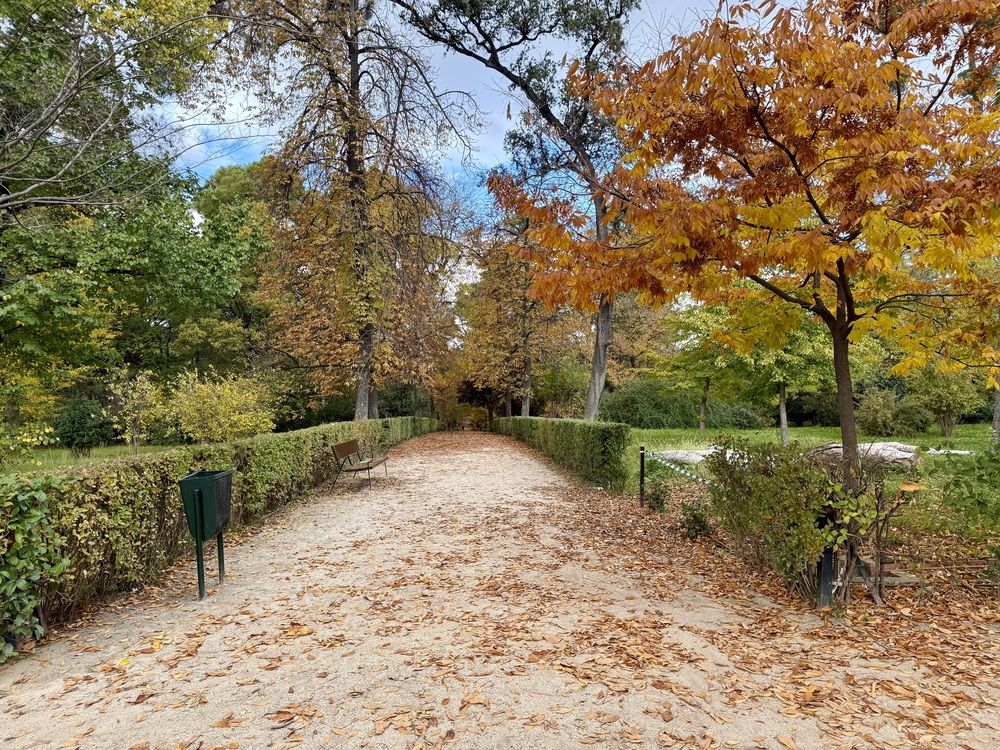 Photograph by Nune Pashayan