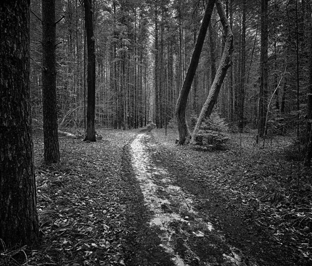 Фотография автора Павел Мартюшев