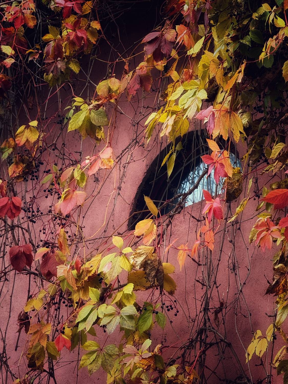 Фотография #13086462