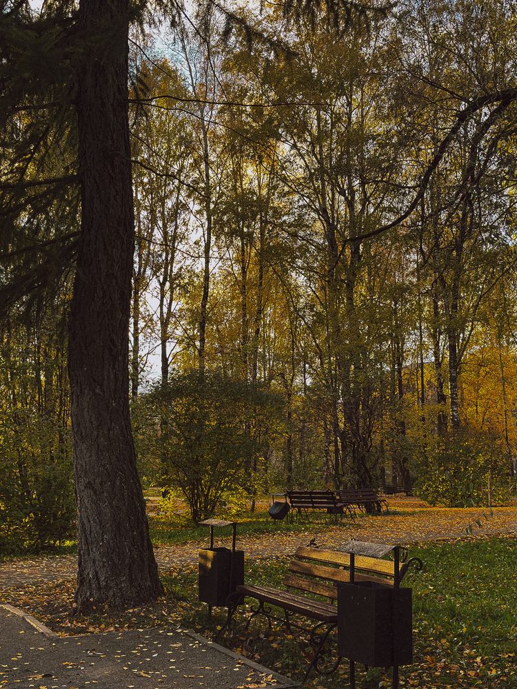 Photograph by Марина Харитонова