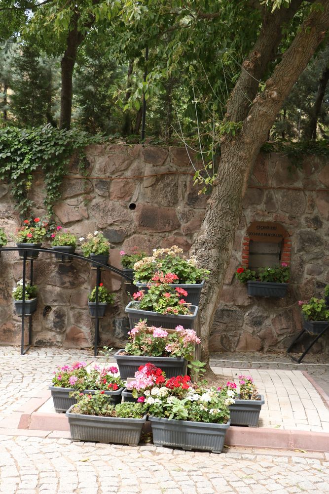 Photograph by Cengiz Yalcin