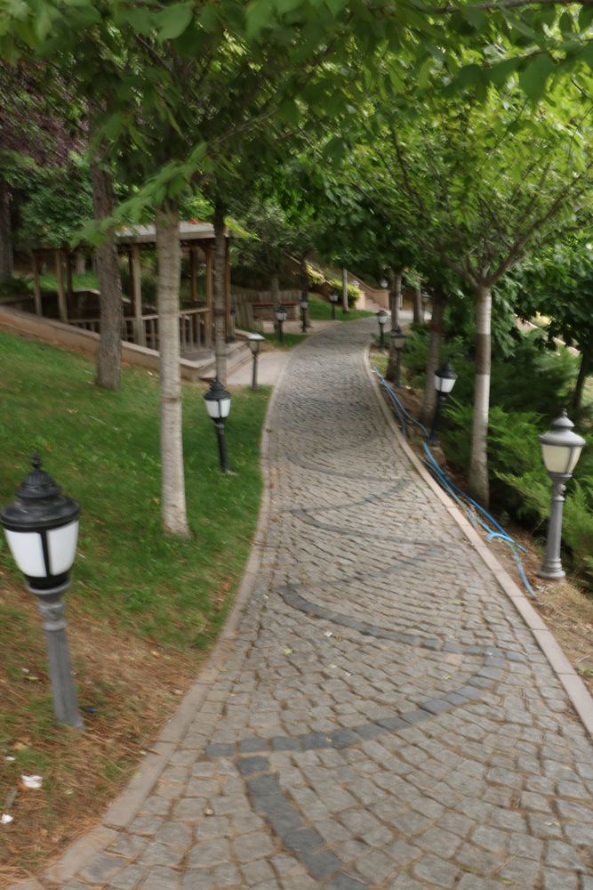 Photograph by Cengiz Yalcin