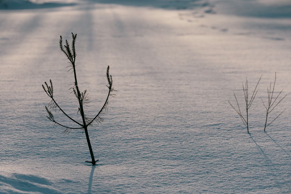 Photograph by Ilya Merkulov