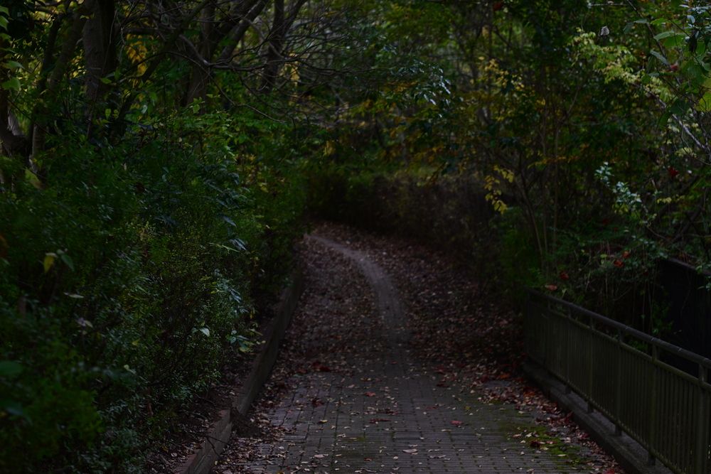 Photograph by 音無