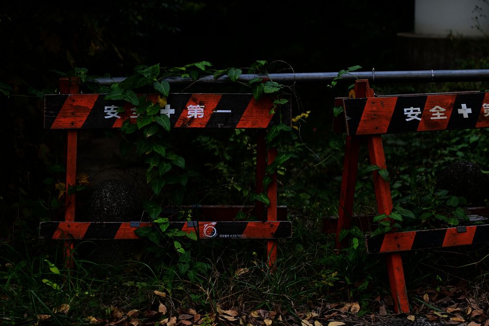 Photograph by 音無