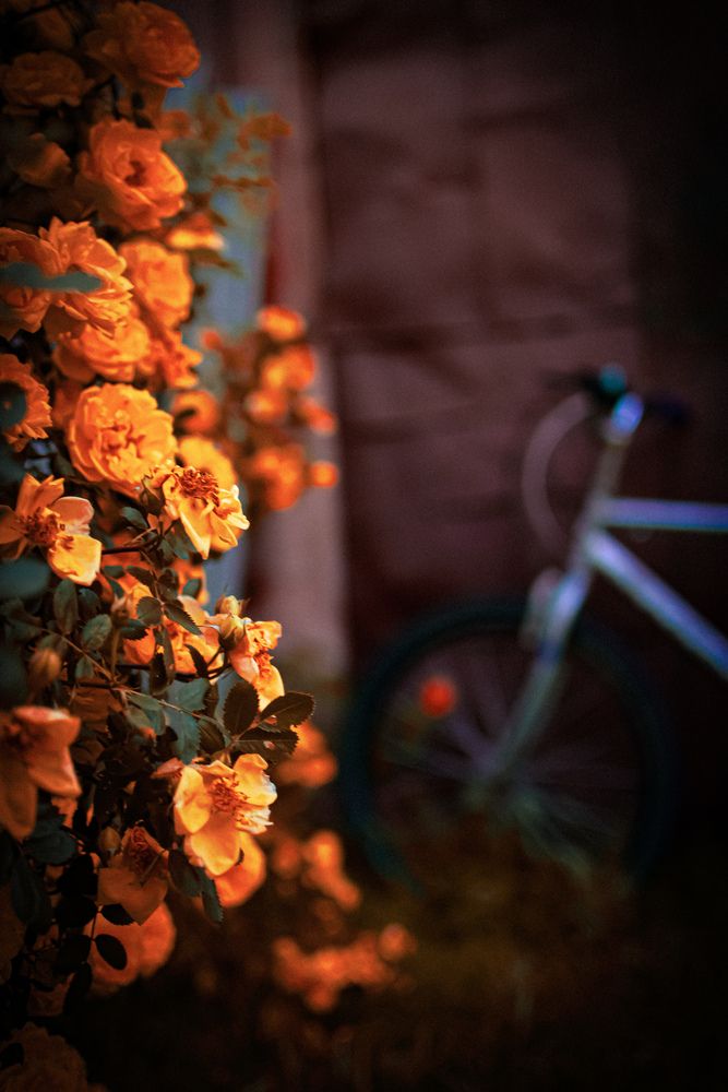 Photograph by Iriny Leventis