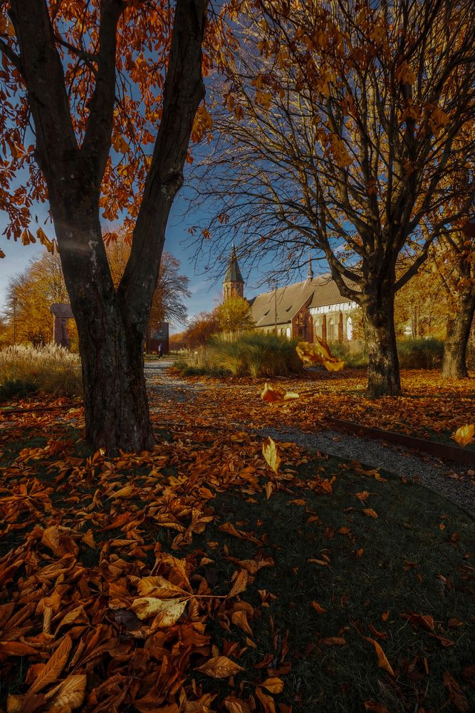 Фотография автора Онучина Юлия