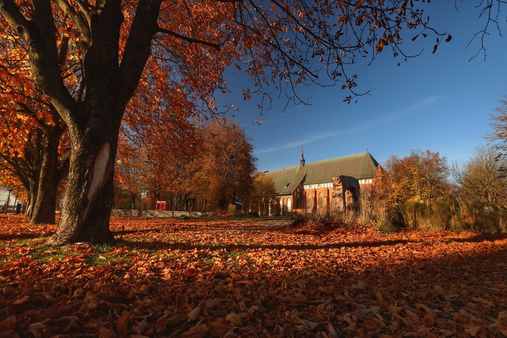 Фотография автора Онучина Юлия