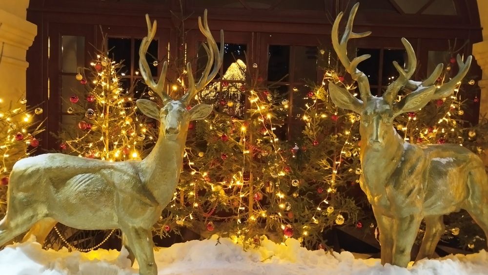 Photograph by Блюмина Елена