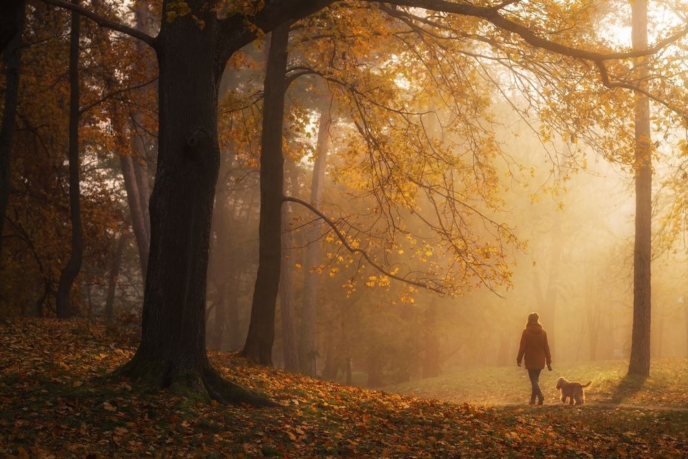 Photograph by Онучина Юлия