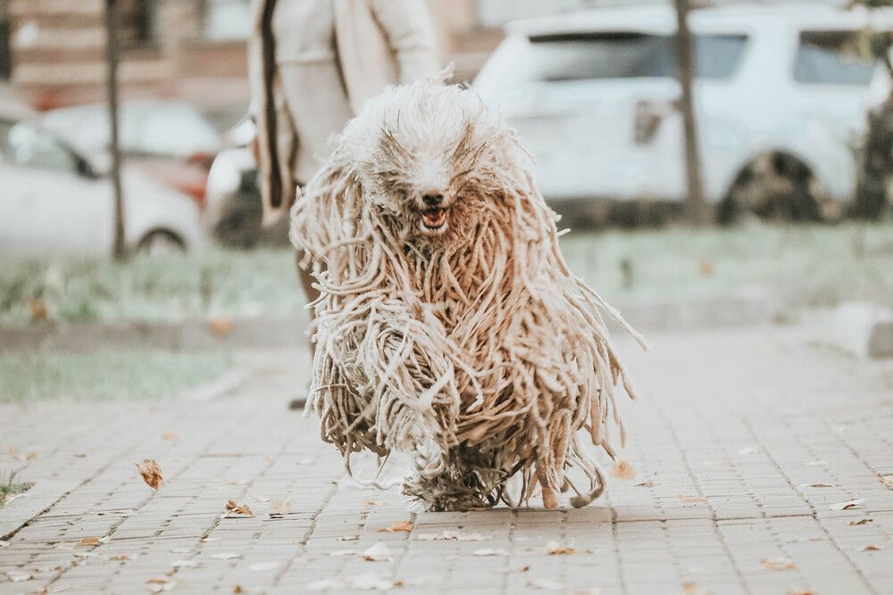 Photograph by Мария Лавриненко