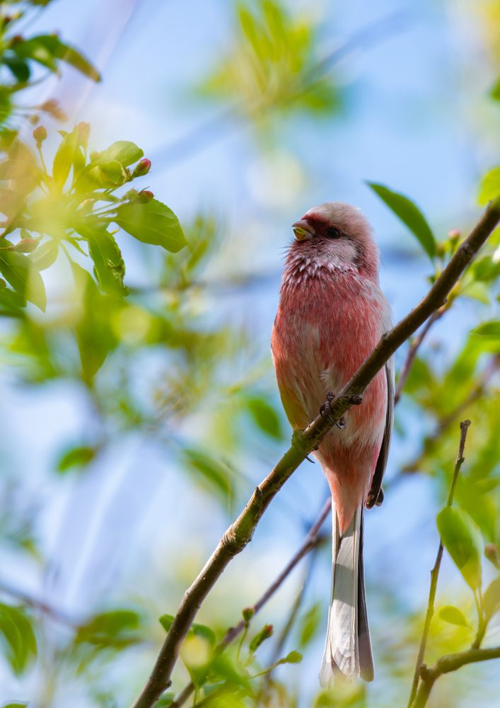 Photograph by Иван Сыч