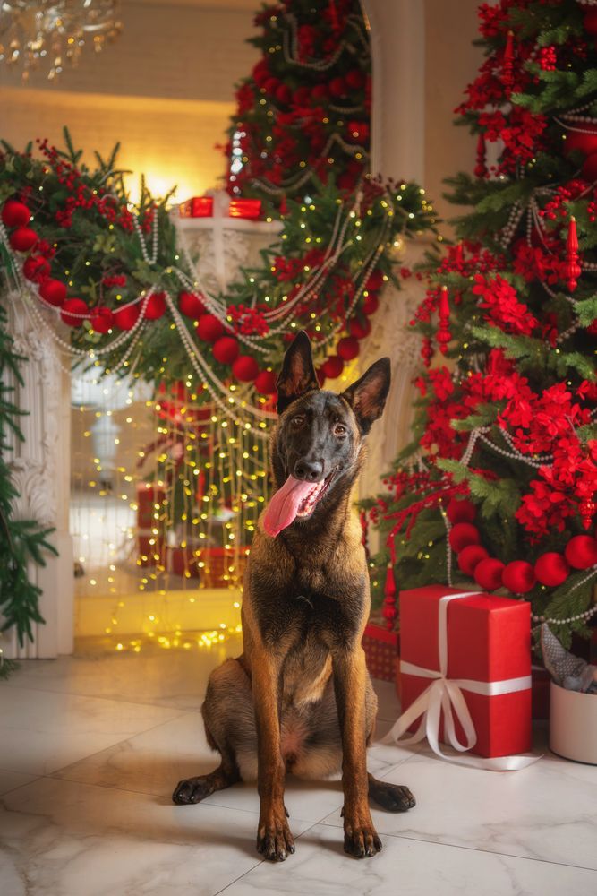 Фотография автора Третьякова Анастасия