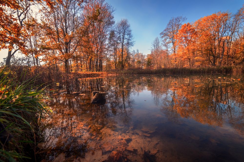 Photograph by Третьякова Анастасия