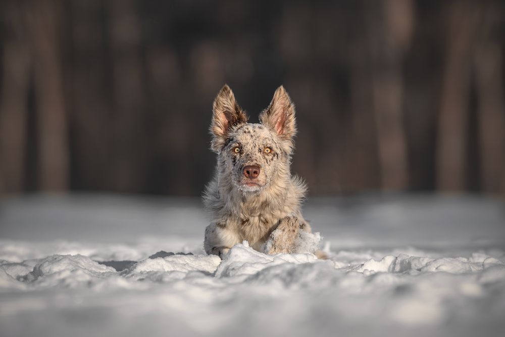 Photograph by Lucie Nermuťová