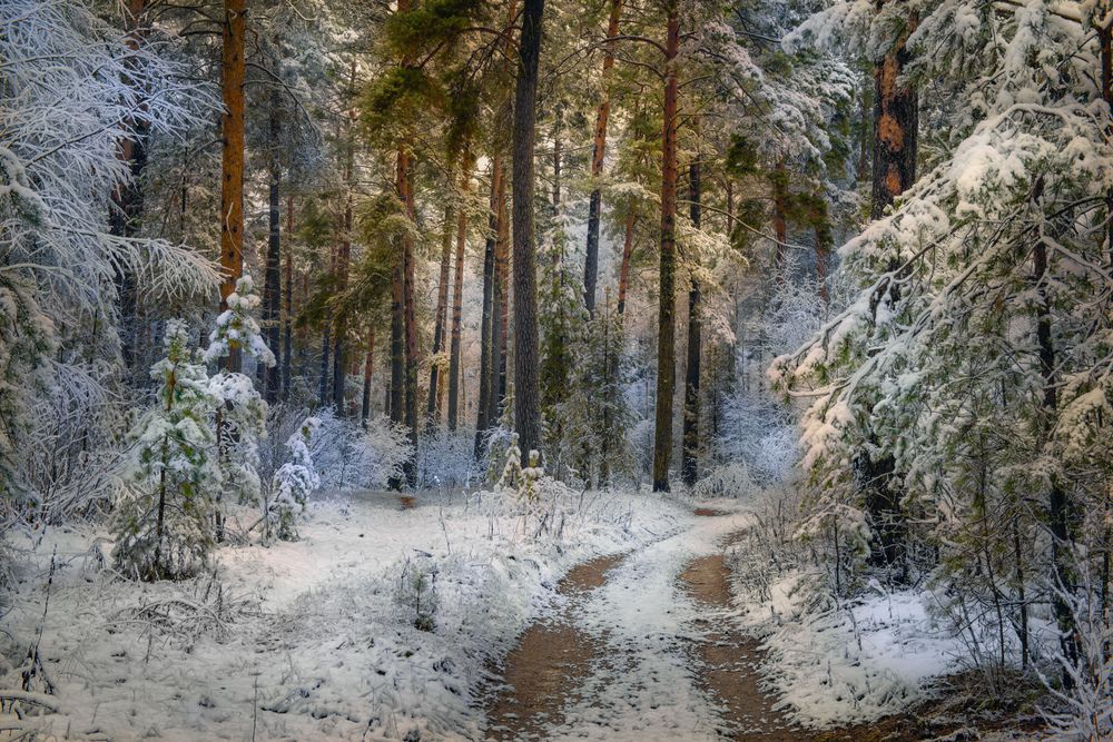 Photograph by Алексеев Дмитрий