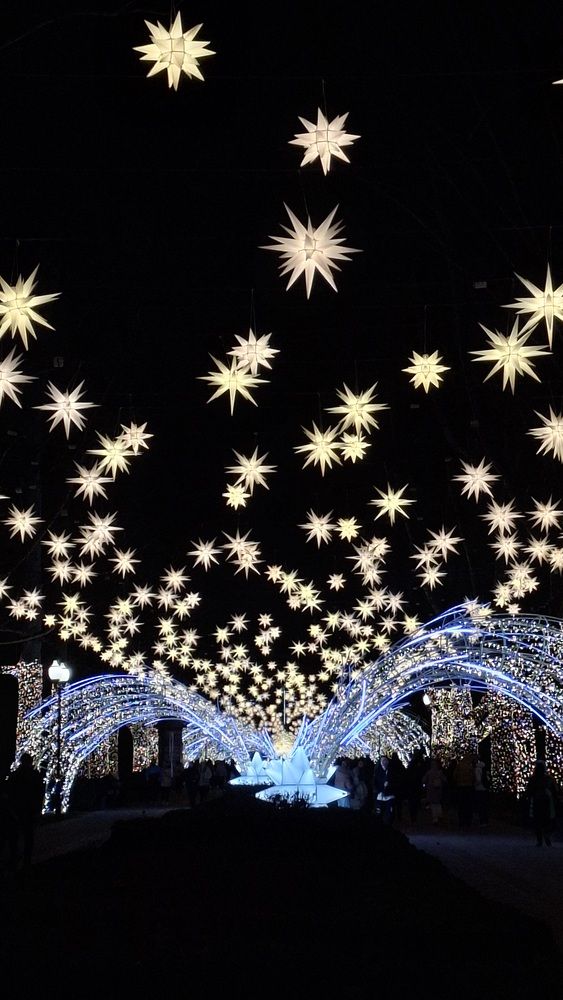 Фотография автора Margarita Teterkina