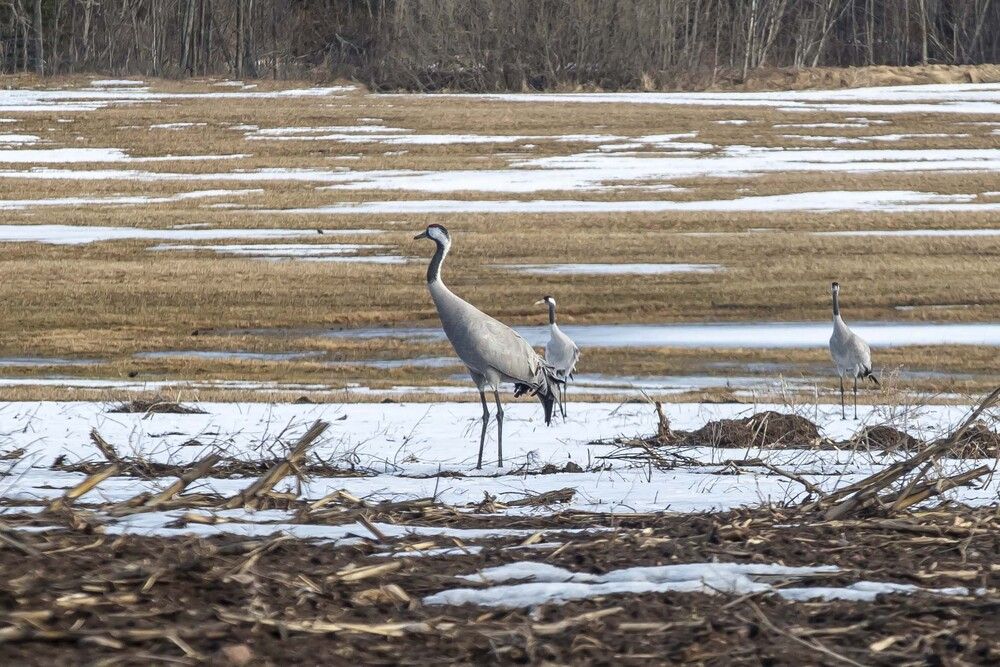 Photograph by Наталья Катюжанская