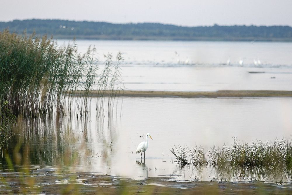 Photograph by Наталья Катюжанская