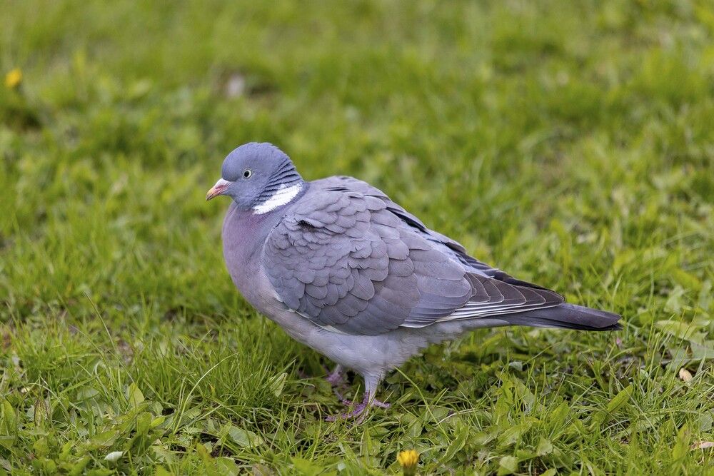 Photograph by Наталья Катюжанская