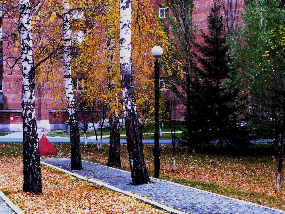 Photograph by Александр Бастраков