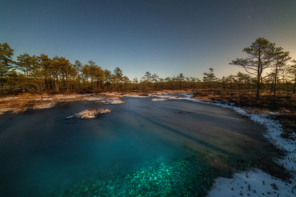 Фотография автора Третьякова Анастасия