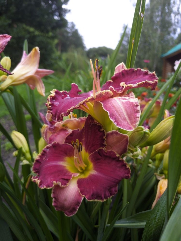 Photograph by Артем Харисов