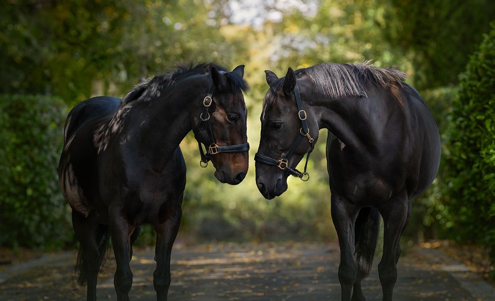 Photograph by Katherine Edwards