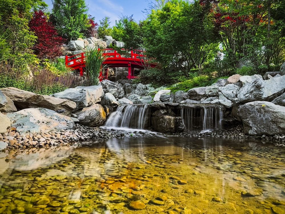 Фотография автора Олег Васильев