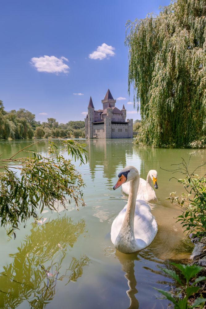 Photograph by Олег Васильев