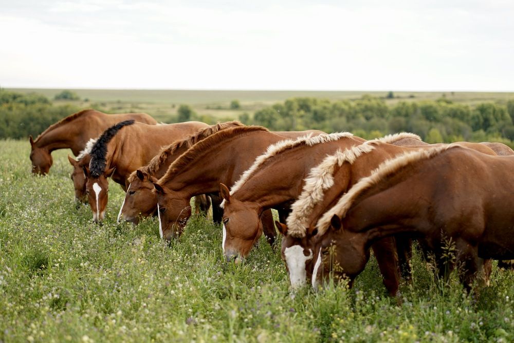 Photograph by Эльмира Исмагилова