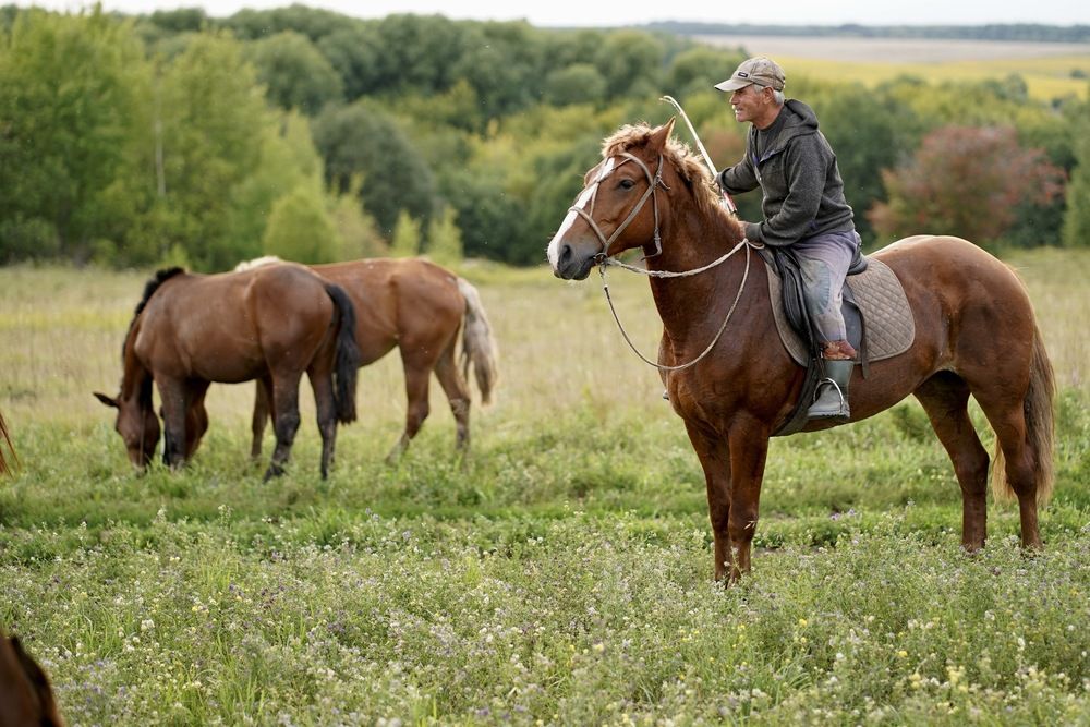 Photograph by Эльмира Исмагилова