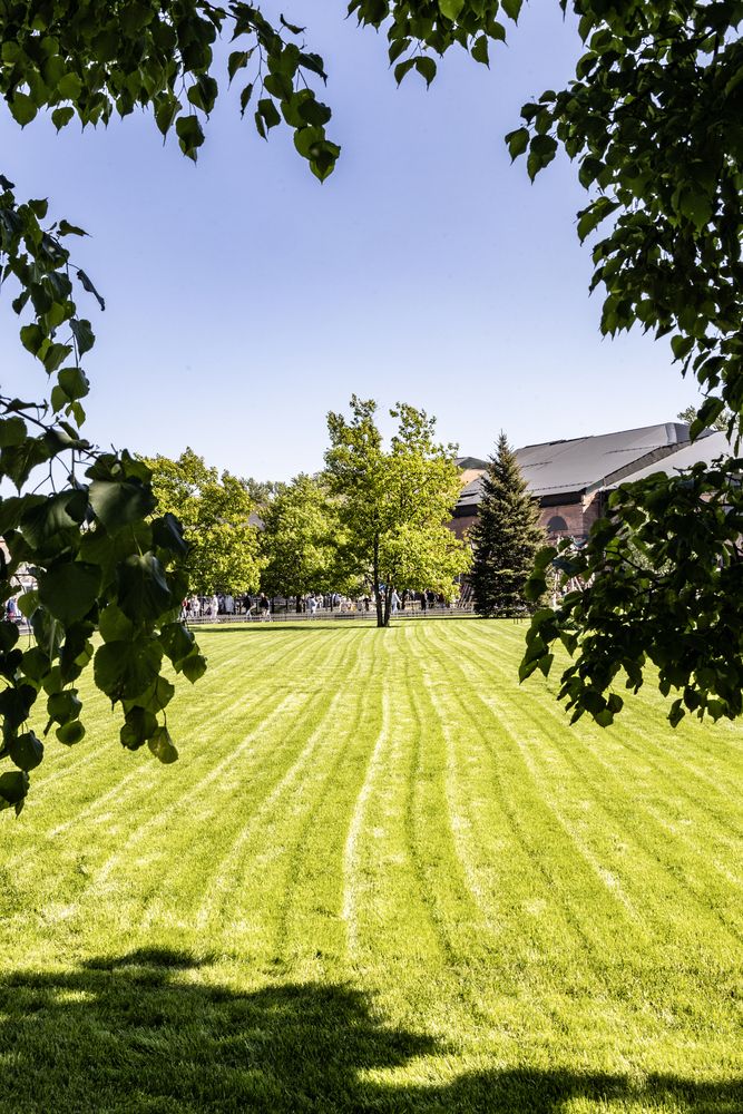 Photograph by Александр Новиков