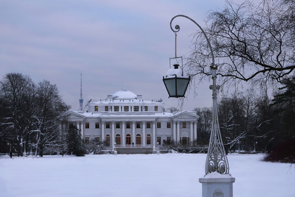 Фотография автора Елена Викторовна