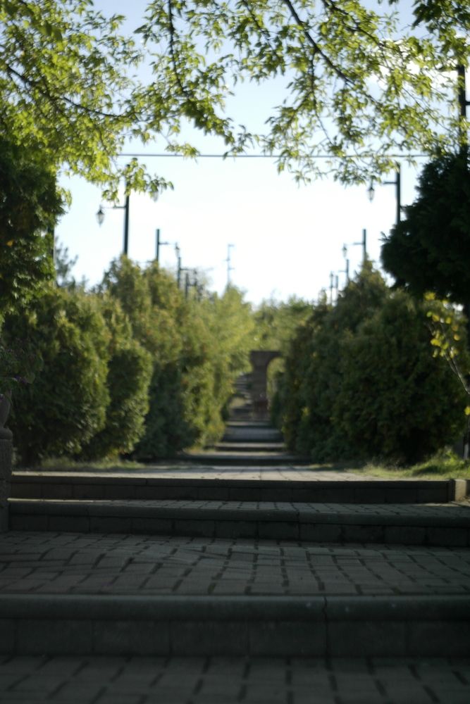 Photograph by Bojan Nikolovski