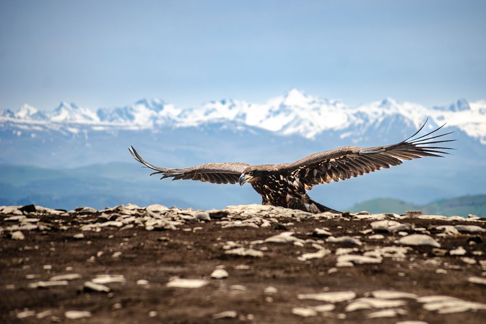 Фотография автора Олег Васильев