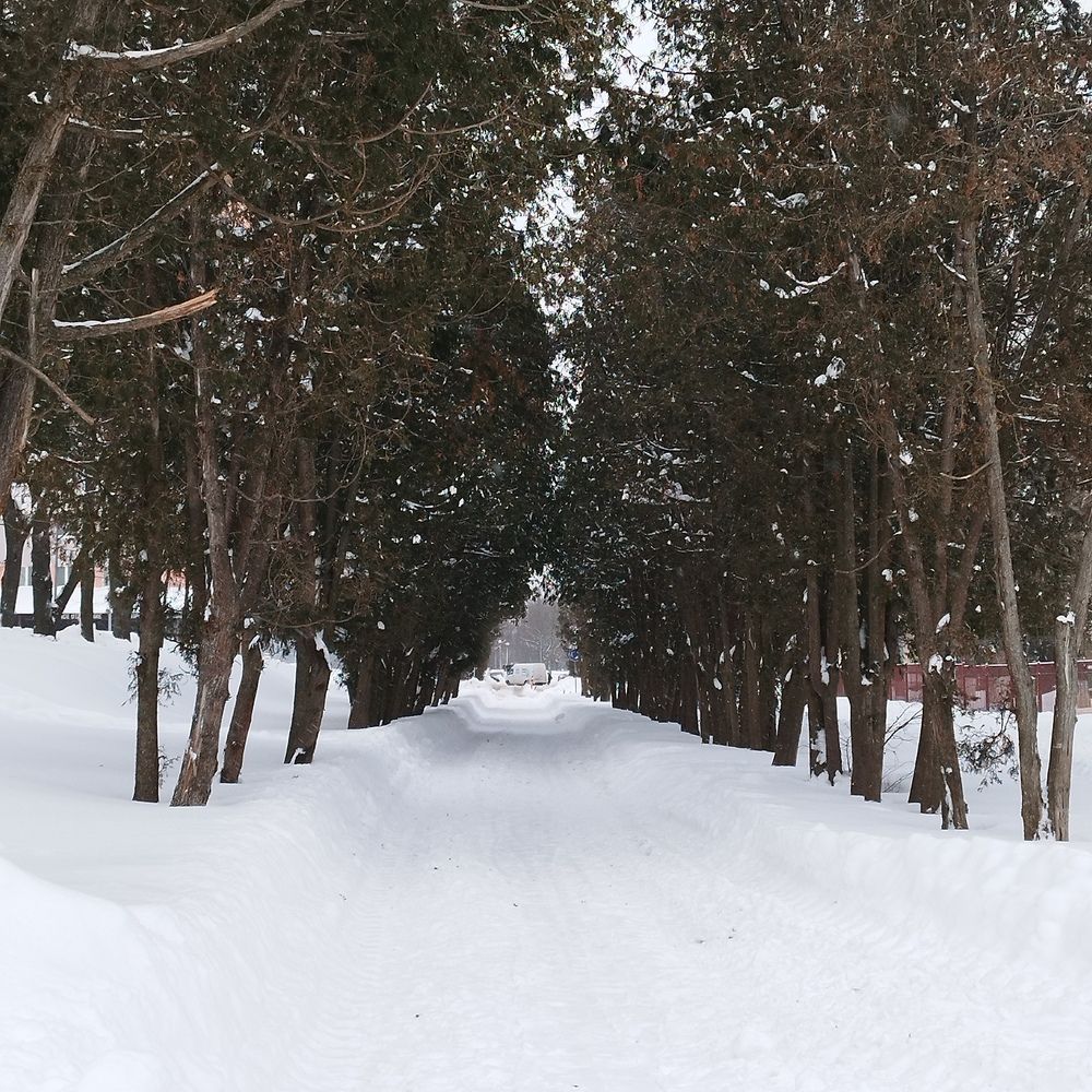 Photograph by Елена
