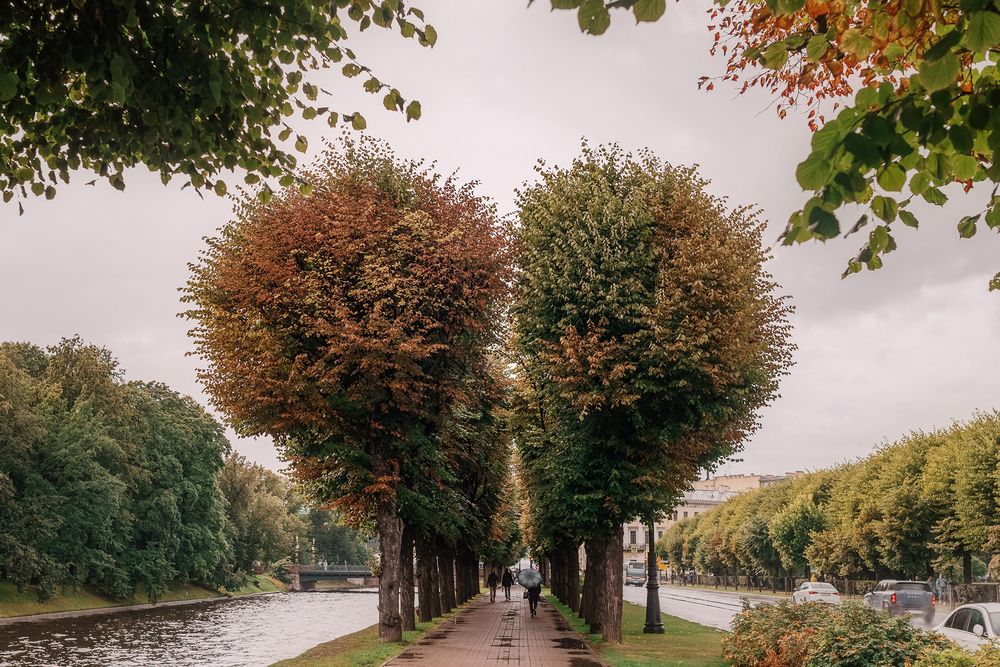 Photograph by Ольга Додонова