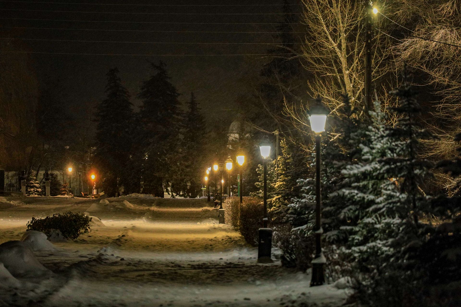 Photograph by Сергей Конюшенко