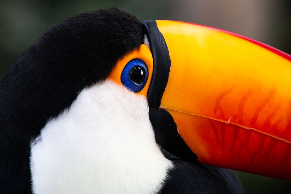 Фотография автора Tigran Simonyan