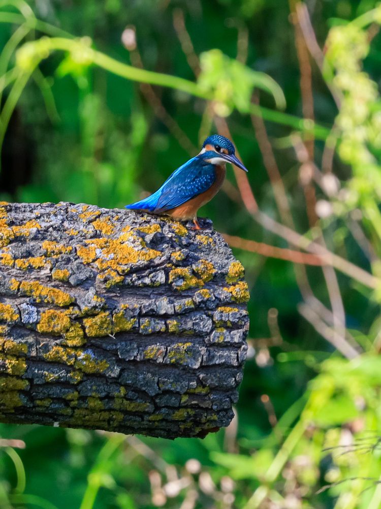 Photograph by Сергей Конюшенко