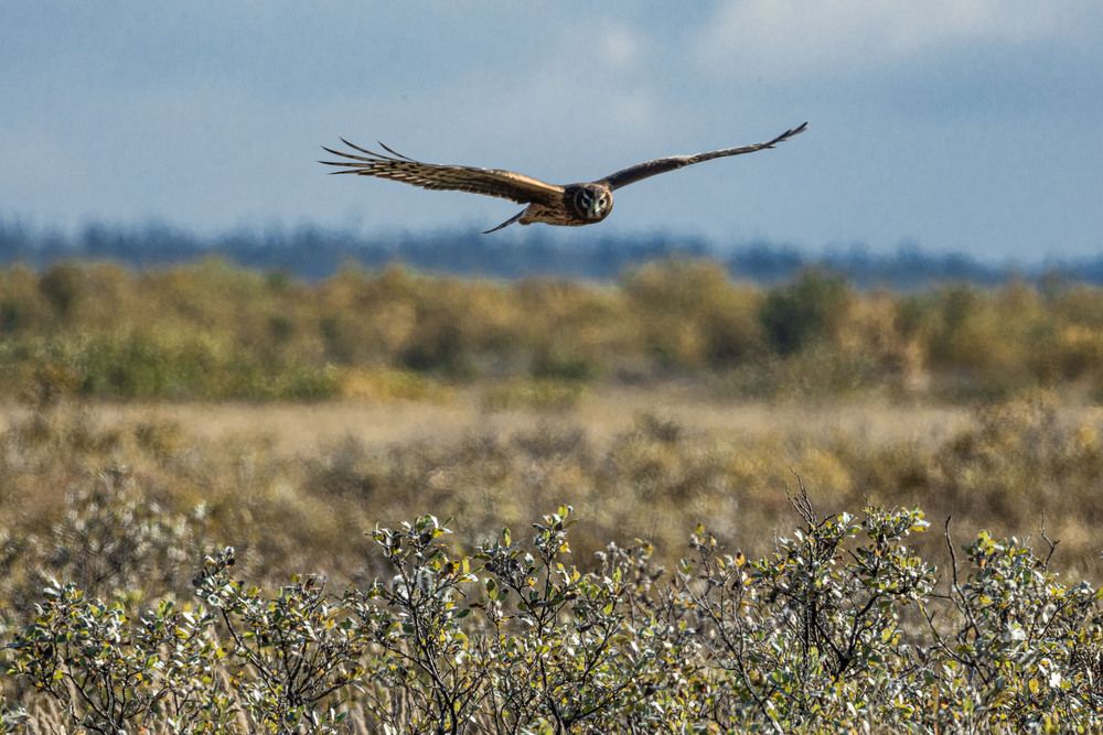 Photograph by Ксения Зайцева