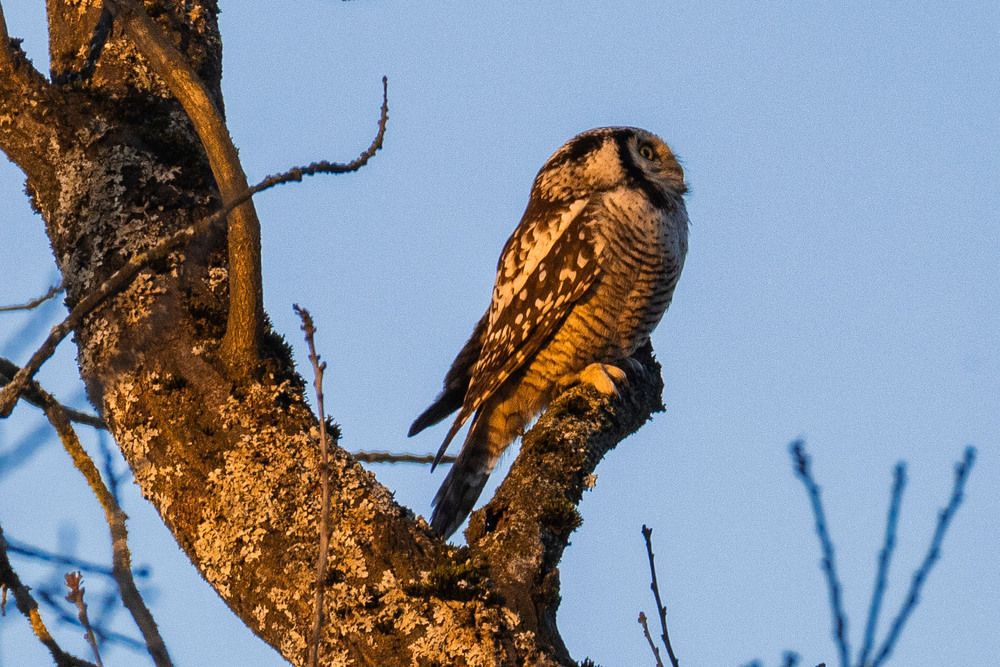 Photograph by Ксения Зайцева