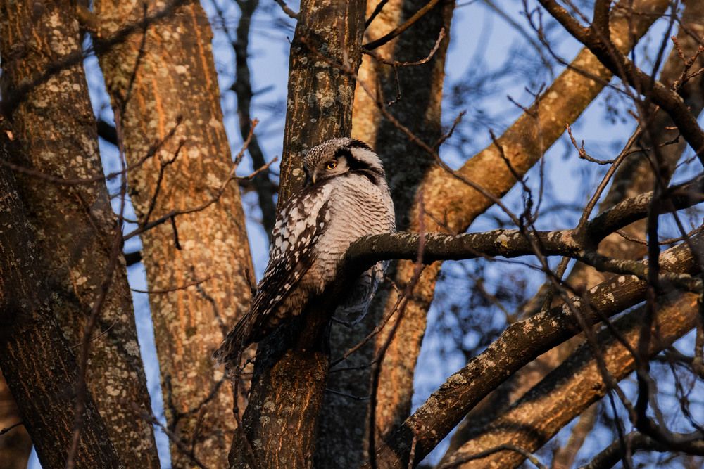 Photograph by Ксения Зайцева