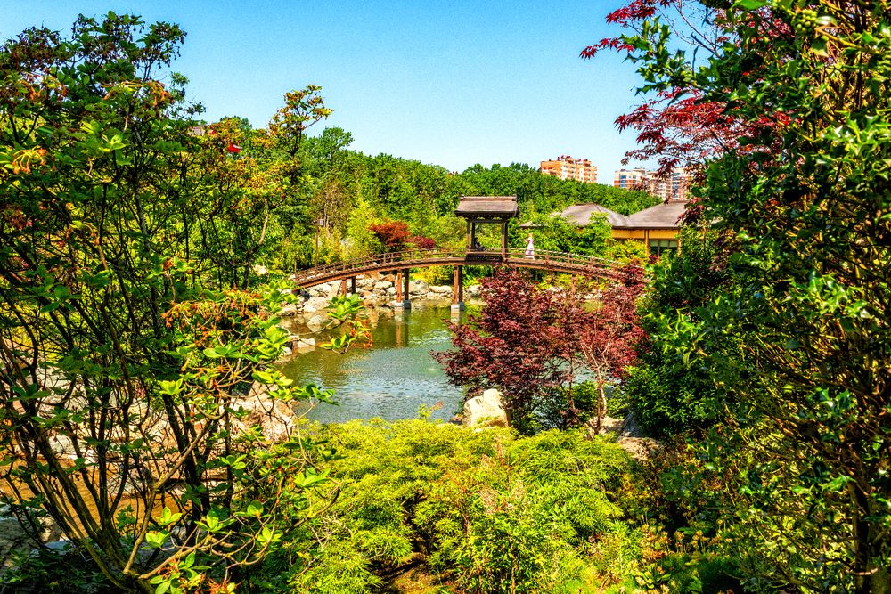 Photograph by Владимир Ушаров