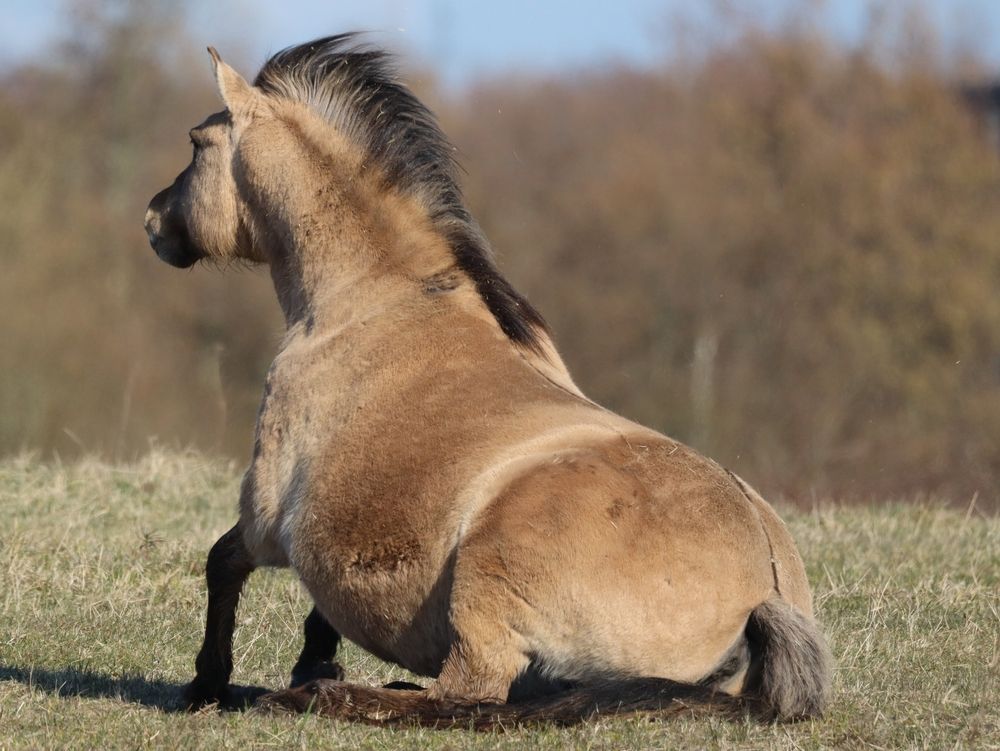 Photograph by Anja Kroes, Dutch