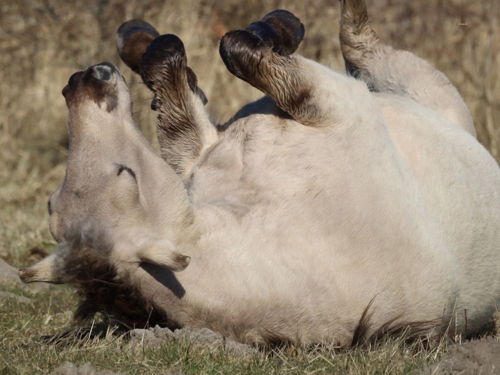 Photograph by Anja Kroes, Dutch